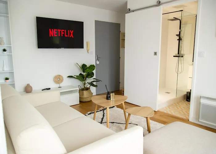 Apartment Cozy Garden Toulouse